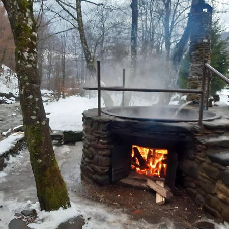 Хатина Біля Потока Villa Rónafüred Kültér fotó