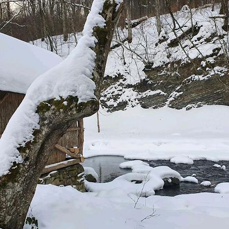 Хатина Біля Потока Villa Rónafüred Kültér fotó