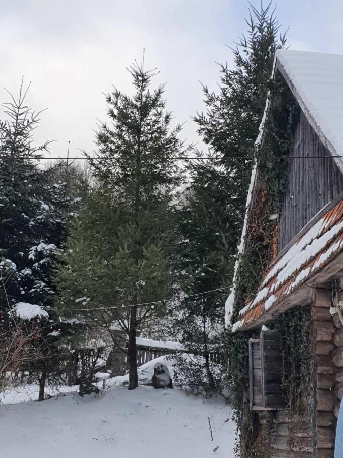 Хатина Біля Потока Villa Rónafüred Kültér fotó