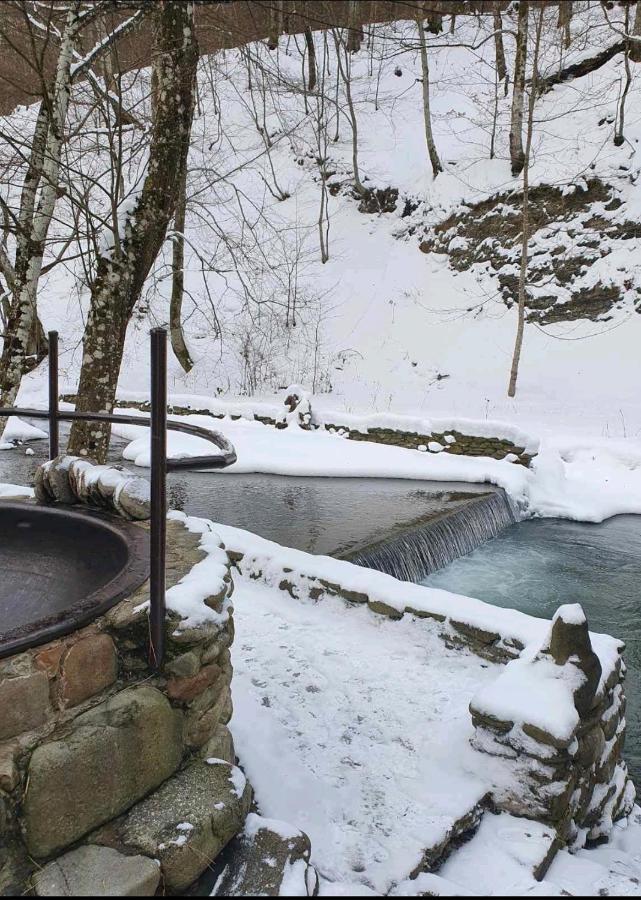 Хатина Біля Потока Villa Rónafüred Kültér fotó