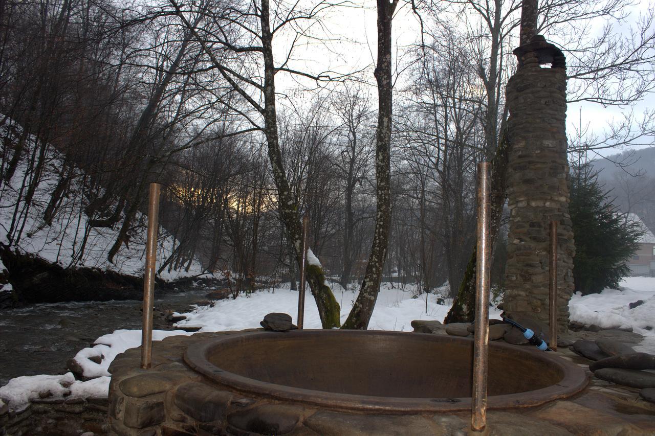 Хатина Біля Потока Villa Rónafüred Kültér fotó